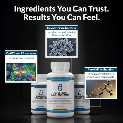 Protein Unlocked